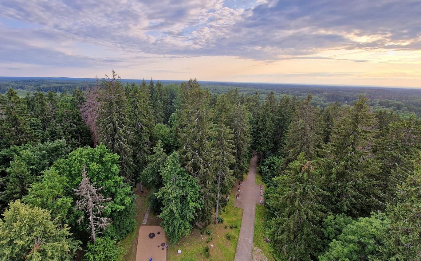 23.10.2025 Maapealseid mõõtmisi ja kaugseireandmestikke ühendades saab täpsustada metsade juurdekasvumudeleid. See võimaldab hinnata metsakasvu hõlpsamalt ka suurtel aladel.